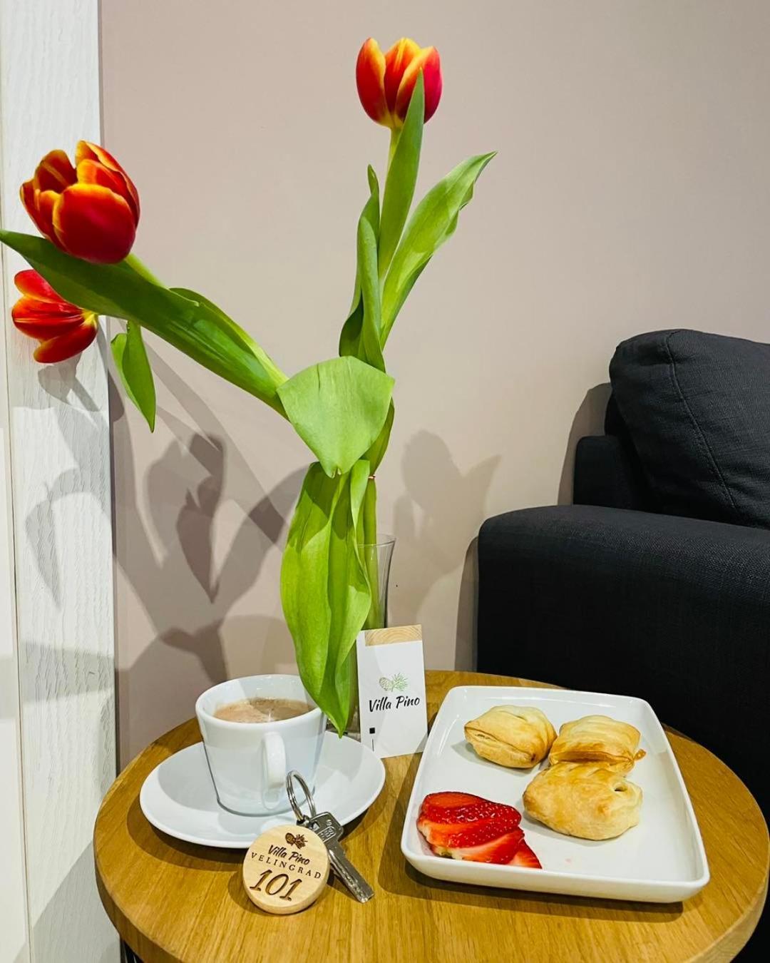 Villa Pino Velingrad Luaran gambar