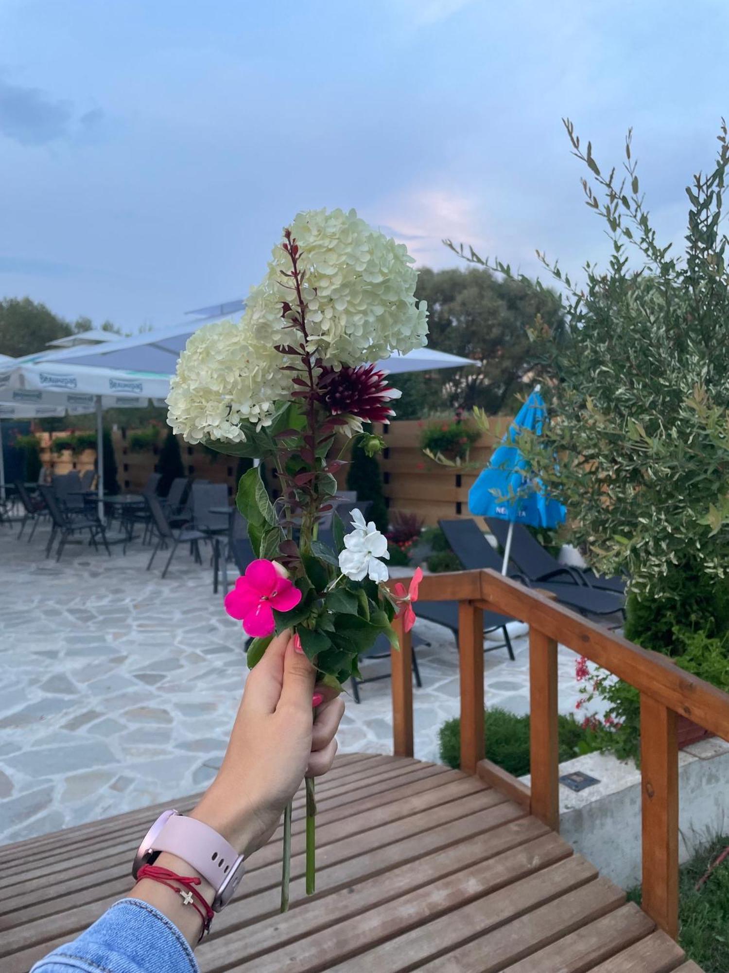 Villa Pino Velingrad Luaran gambar